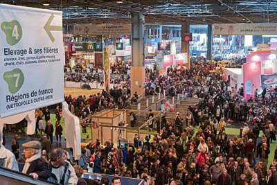 賦能品牌，引爆流量 展會宣傳片高效策劃全攻略與專業(yè)服務咨詢